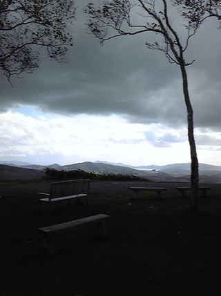 Image120.jpg