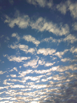 Image175.jpg