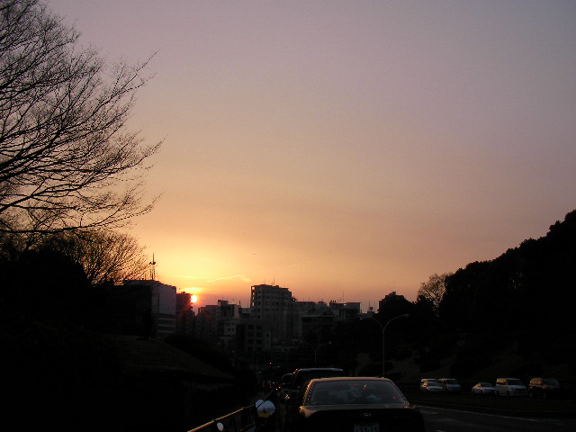 SANY0018.JPG