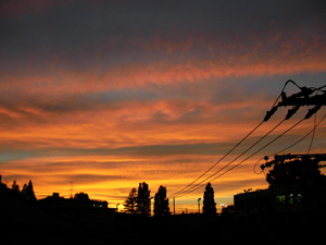SANY0493.JPG